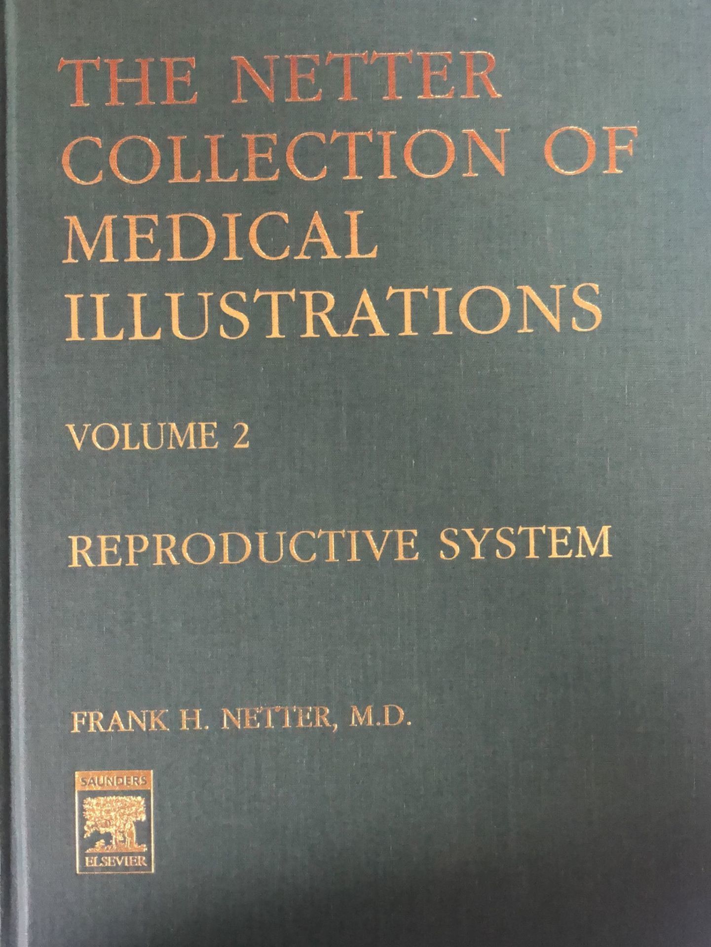 the netter collection of medical illustrations free download