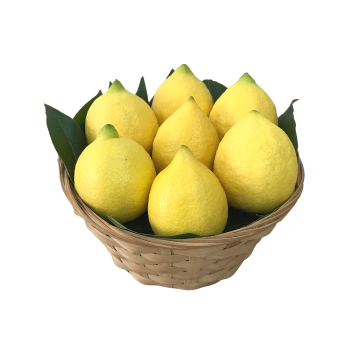 Organik İtalyan Limon (1 Kg)