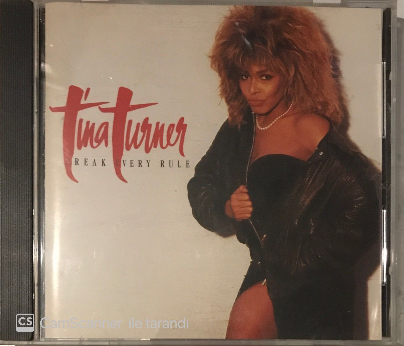 Tina Turner Break Every Rule Cd Plak Satın Al