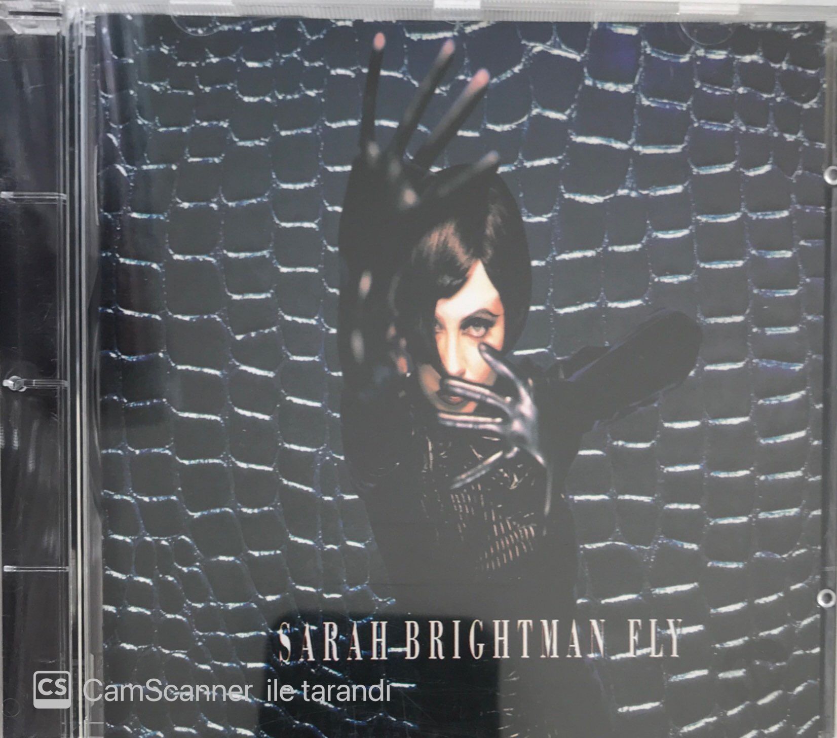 Sarah Brightman Fly CD Plak Satın Al