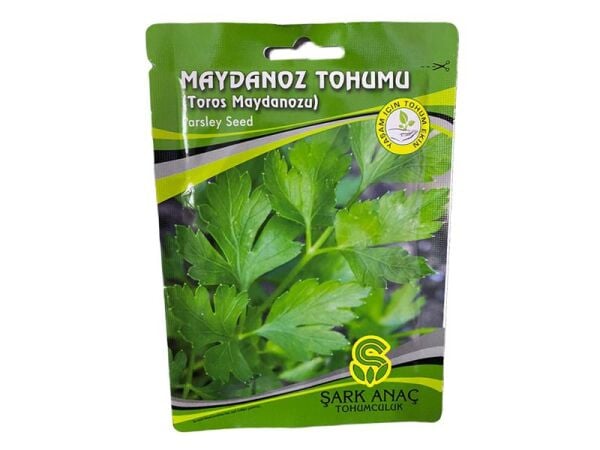 Maydanoz Tohumu