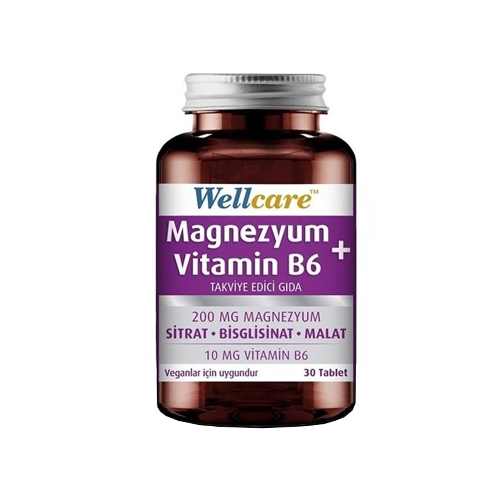 Magnesium b6. Magnesium+Vitamin b6 турецкий WELLCARE. Magnesium b6 Турция. WELLCARE magnezyum ve Vitamin b6 30 Tablet. Магнезиум в6 ВЕЛЛКАР.