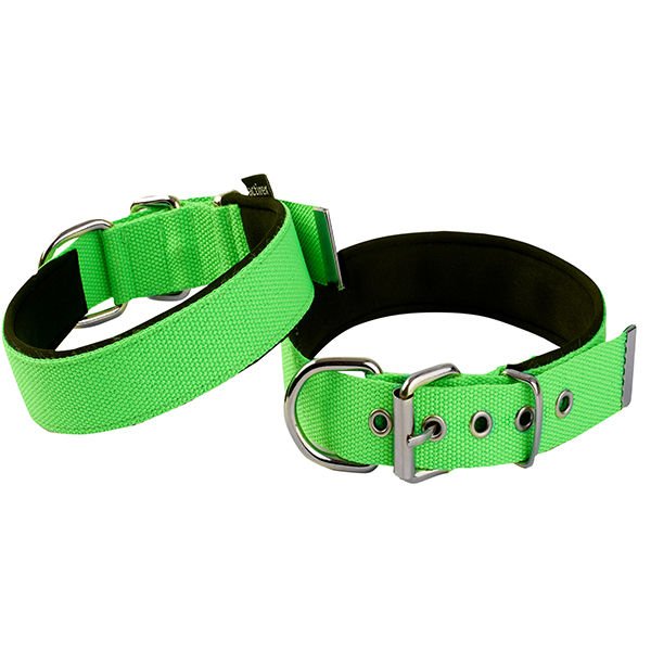 Actirex Neon Köpek Boyun Tasması Yeşil M 2x35-40 Cm