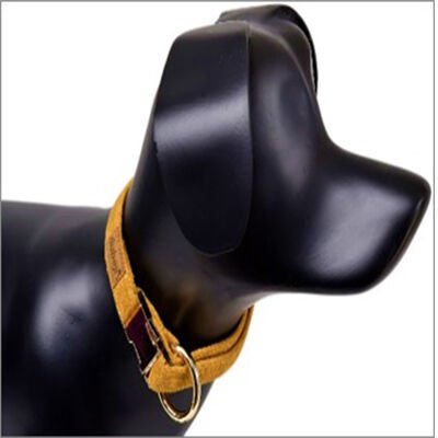 Dubex G-Dog Köpek Boyun Tasması Sarı M-L 35-56 Cm 20 Mm