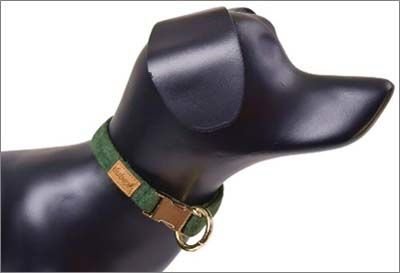 Dubex G-Dog Köpek Boyun Tasması Koyu Yeşil Xs-S 19-30 Cm 15 Mm