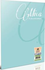 Gıpta Defter A5 Mıca Pp 100 Yp. Kar. 2935