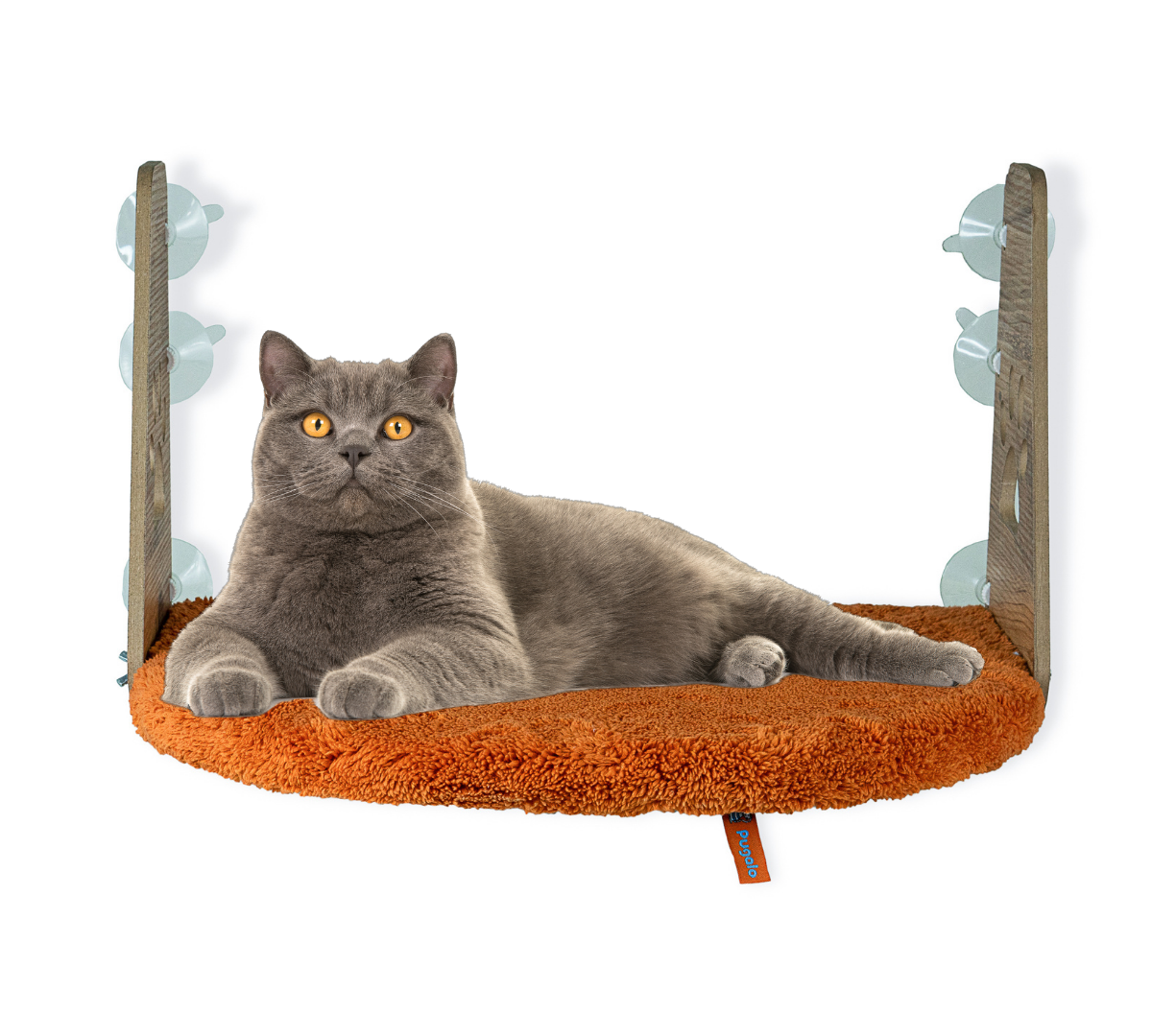 Pugalo Vantuzlu Kedi Cam Yatağı Turuncu