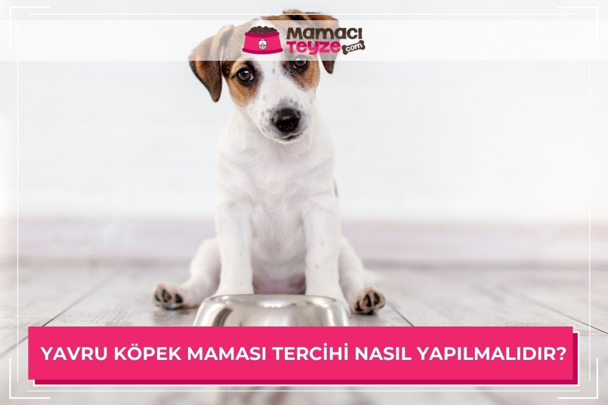 komsuyla sex göçmen kızı mutfağı