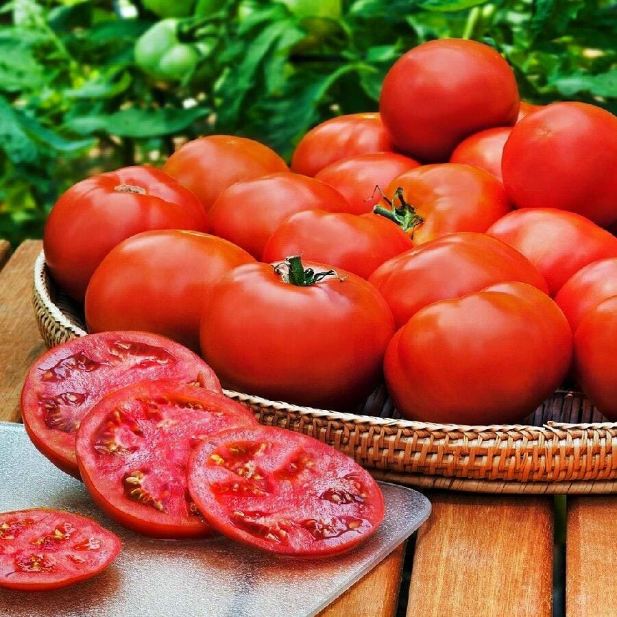 Семена томатов Хайнц
