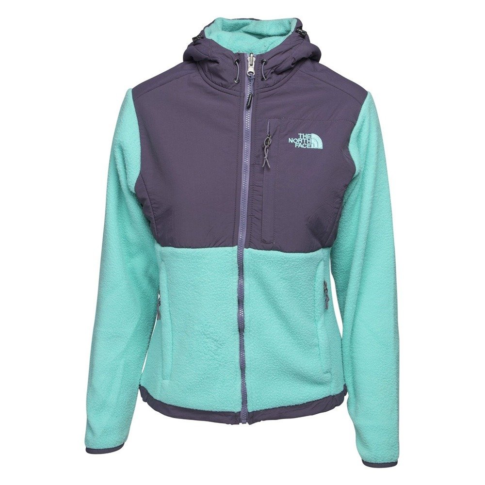 north face polartec fleece jacket